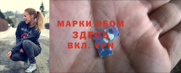 сатива Нефтекумск