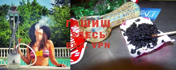 сатива Нефтекумск